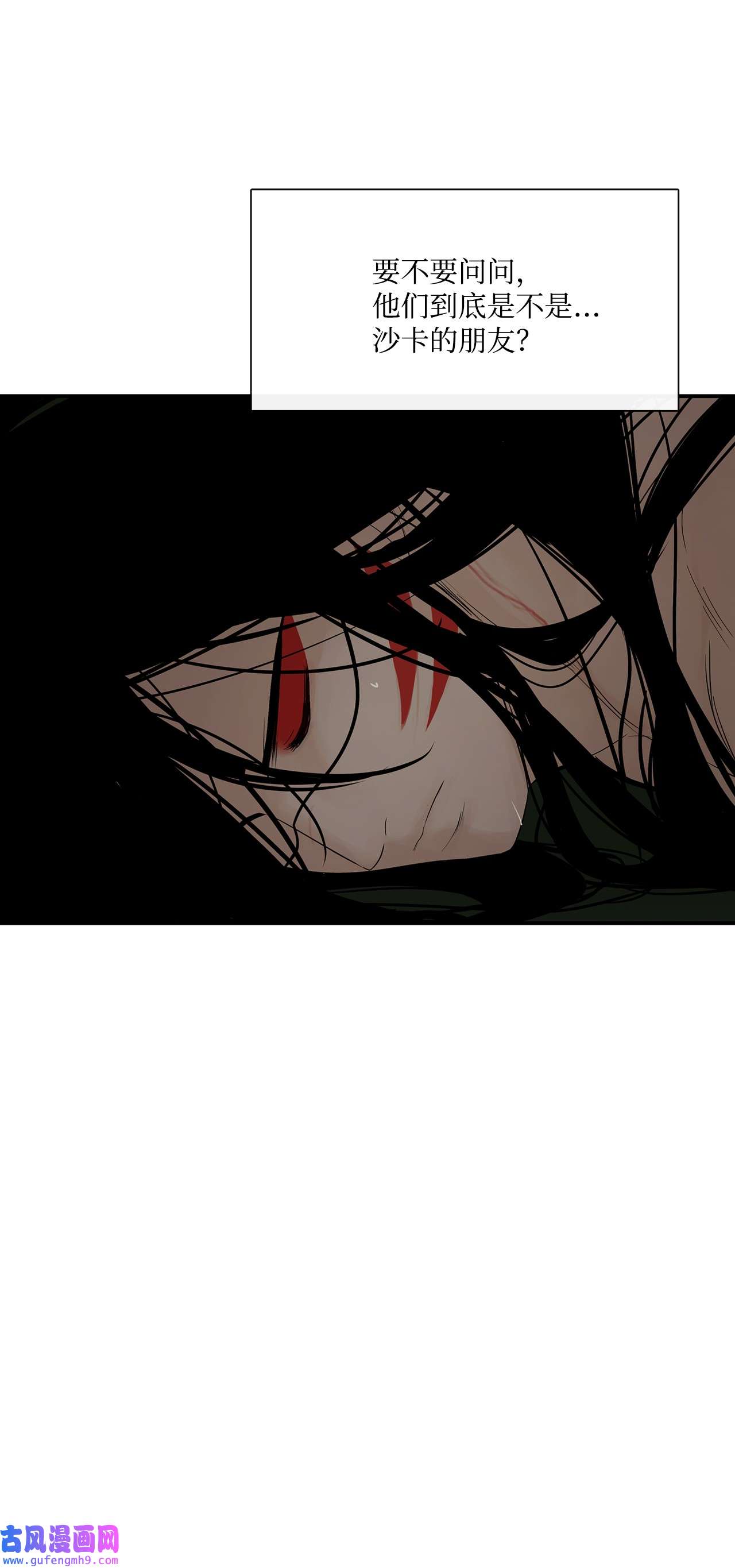 图腾领域33 沙卡的朋友