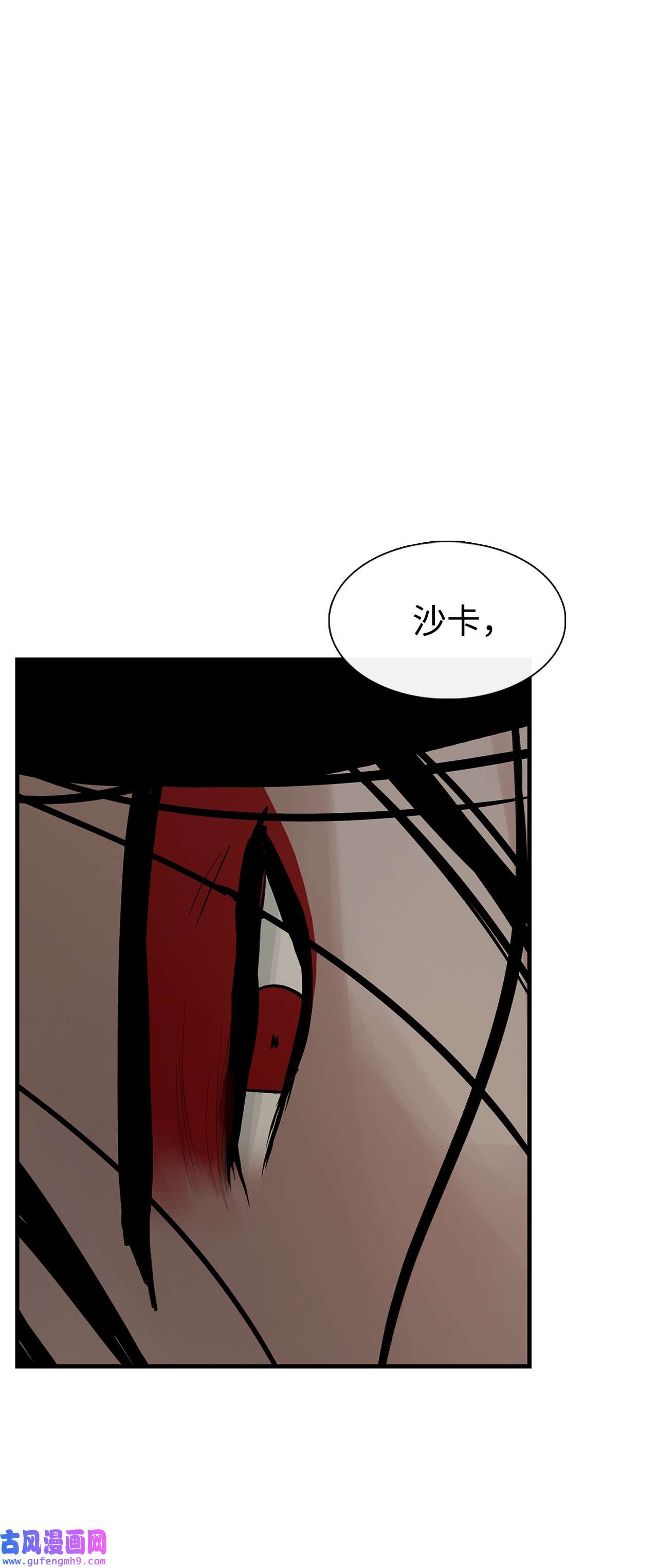 图腾领域33 沙卡的朋友