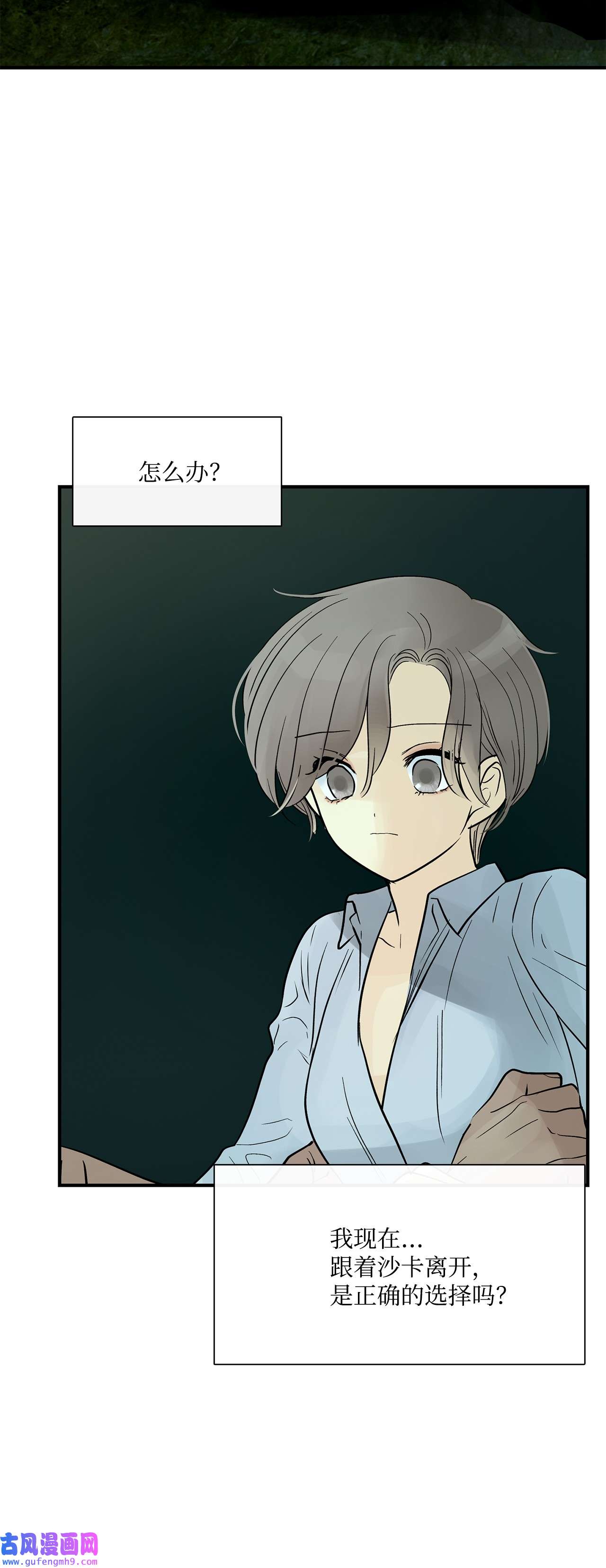 图腾领域33 沙卡的朋友