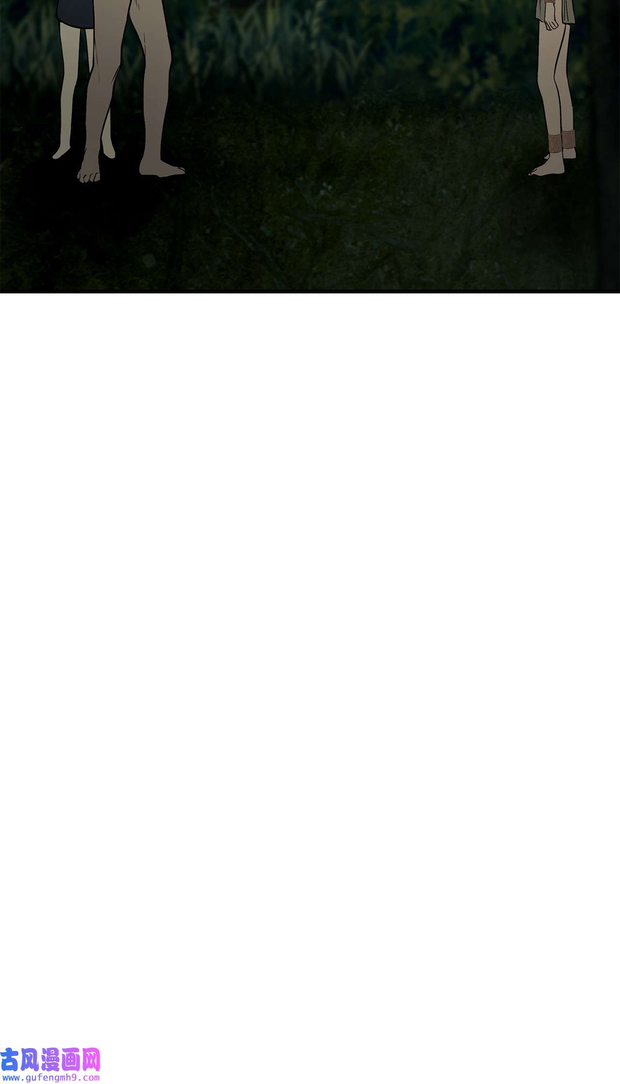 图腾领域33 沙卡的朋友