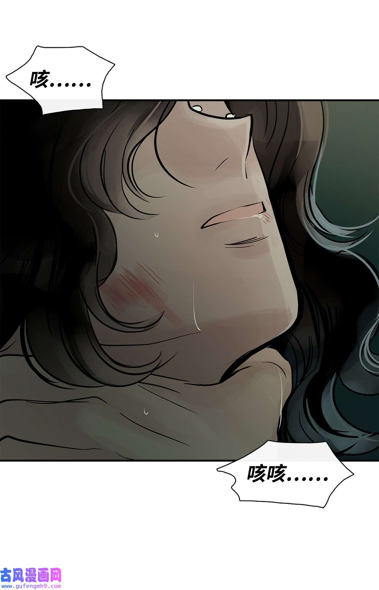 图腾领域33 沙卡的朋友