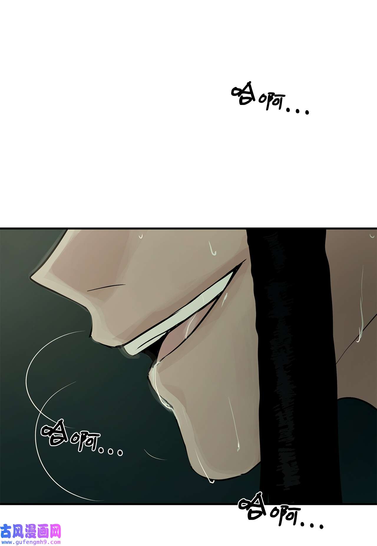 图腾领域33 沙卡的朋友