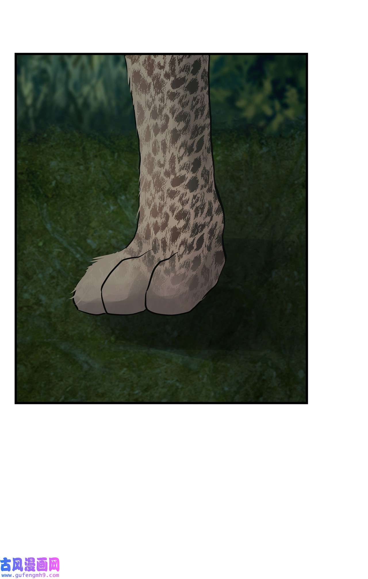 图腾领域35 猫咪