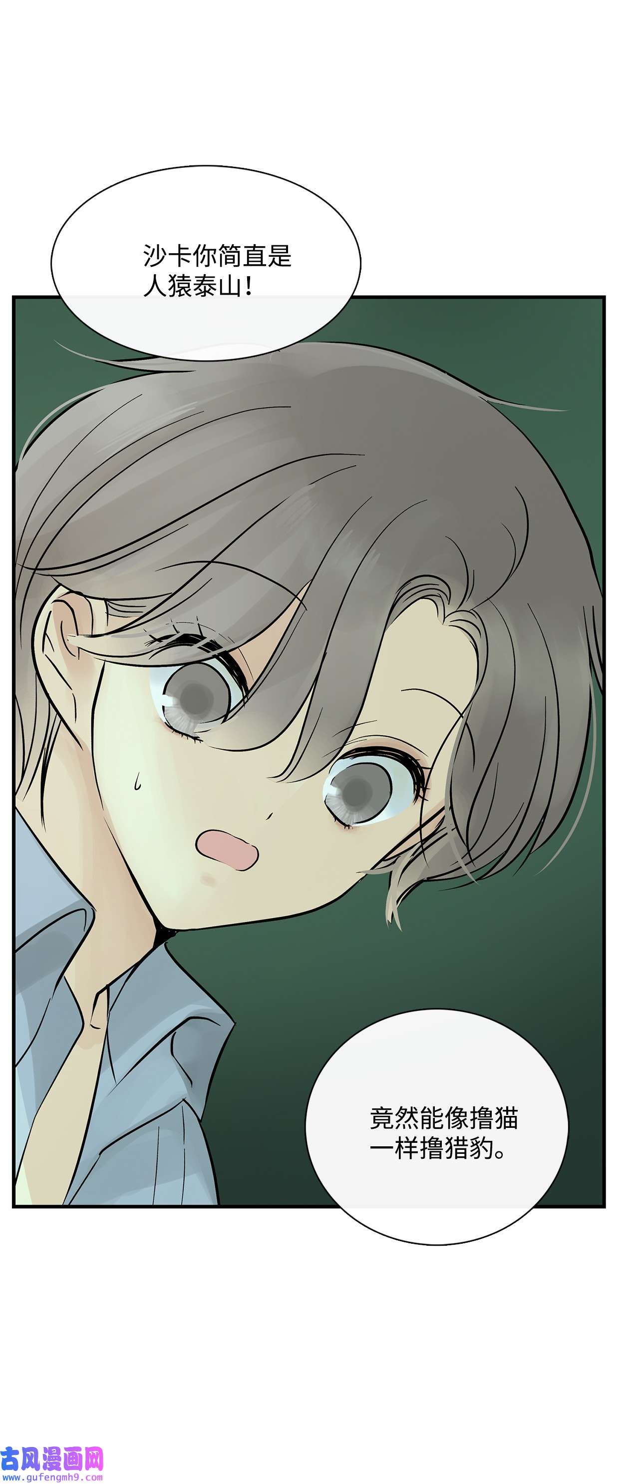 图腾领域35 猫咪