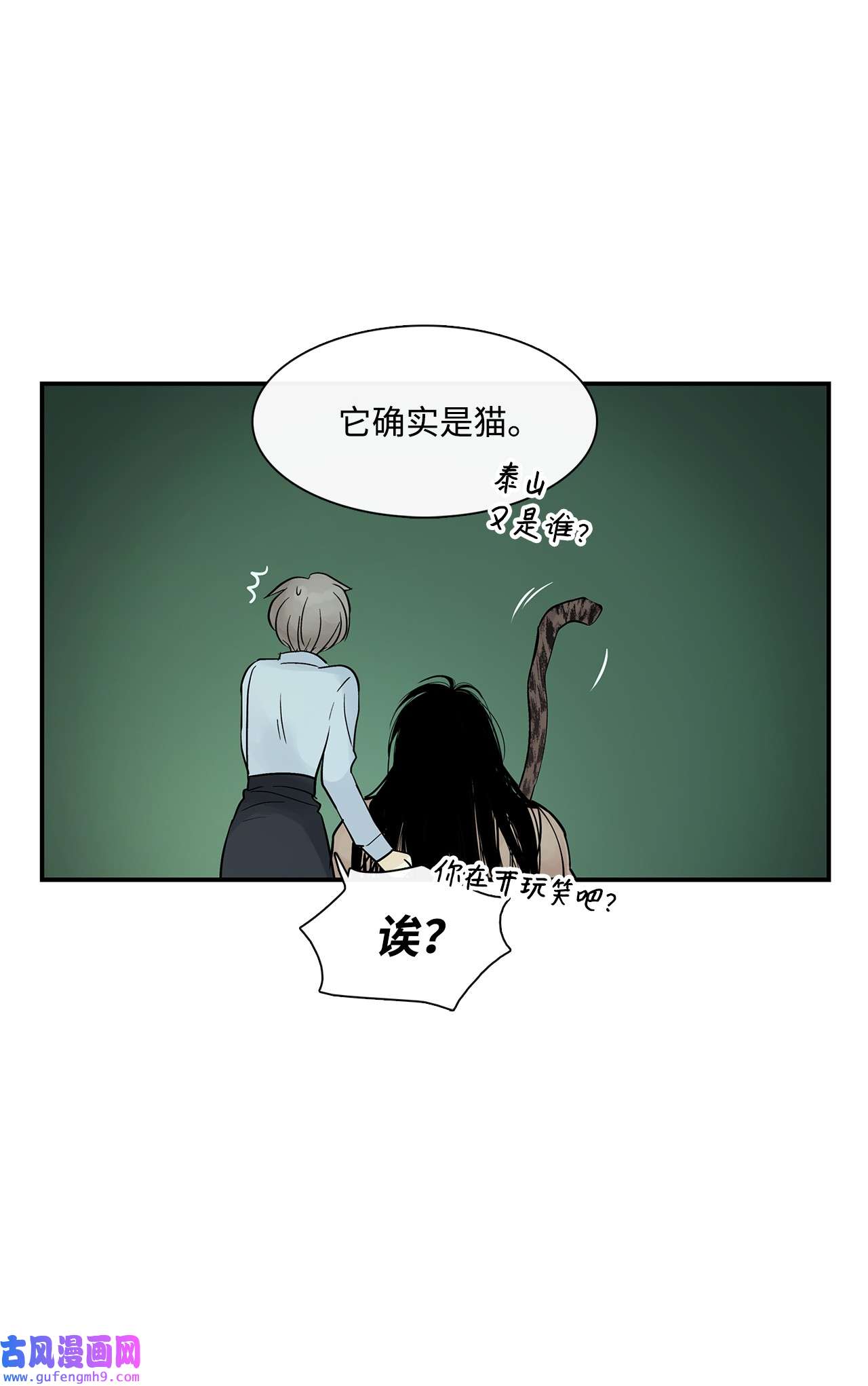 图腾领域35 猫咪