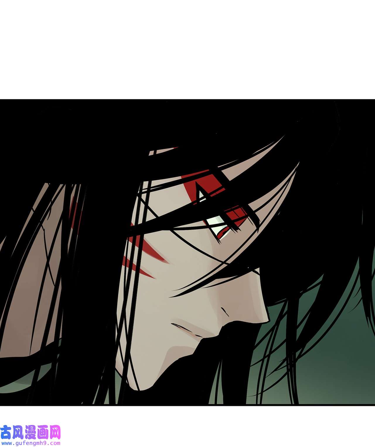 图腾领域35 猫咪