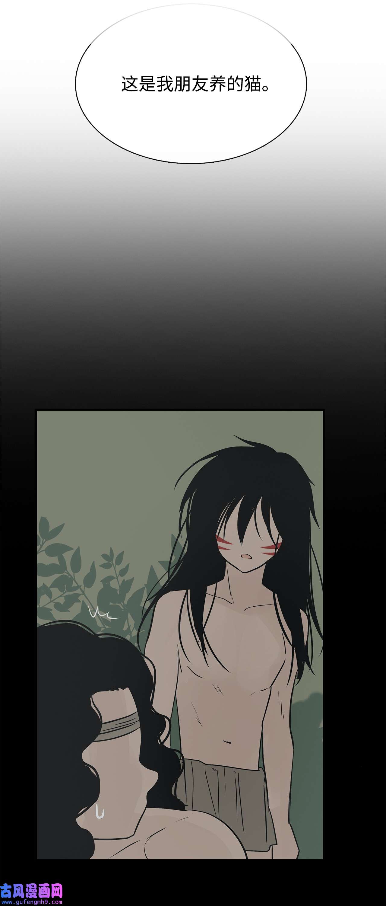 图腾领域35 猫咪