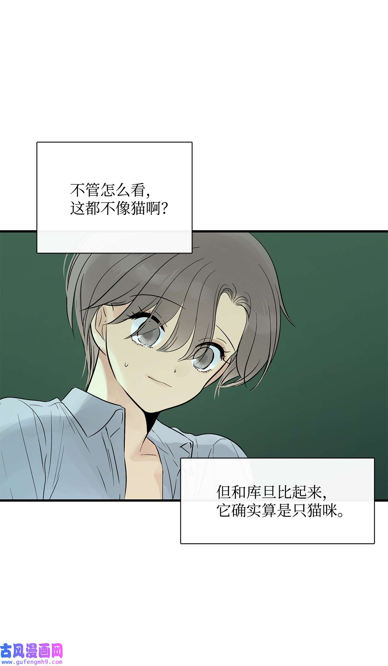 图腾领域35 猫咪