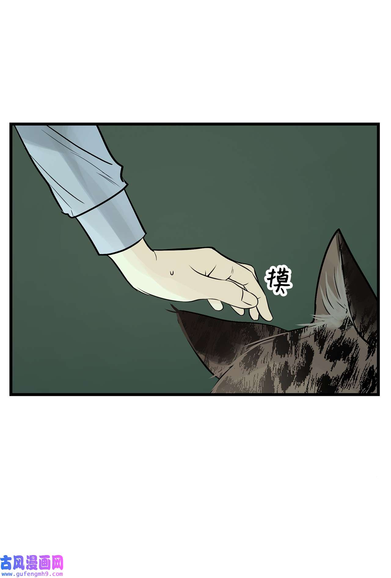 图腾领域35 猫咪