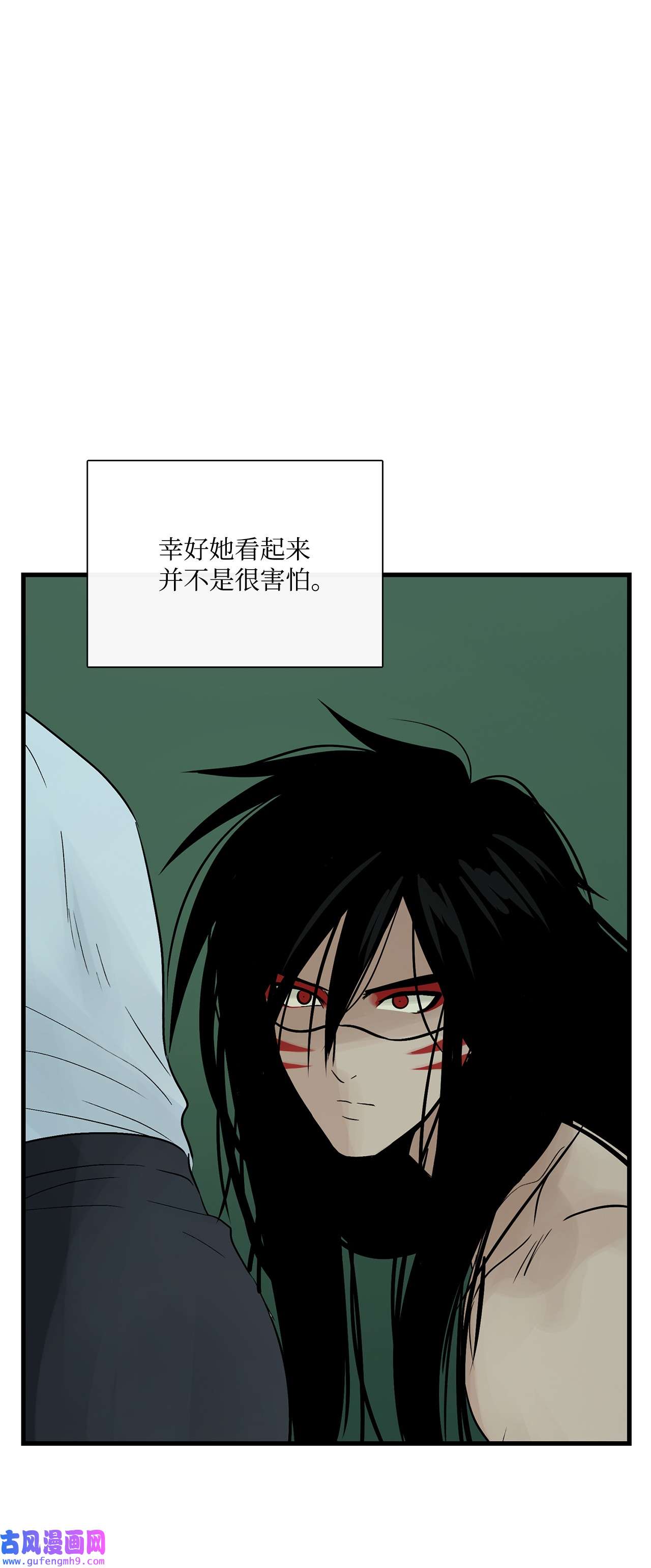 图腾领域35 猫咪