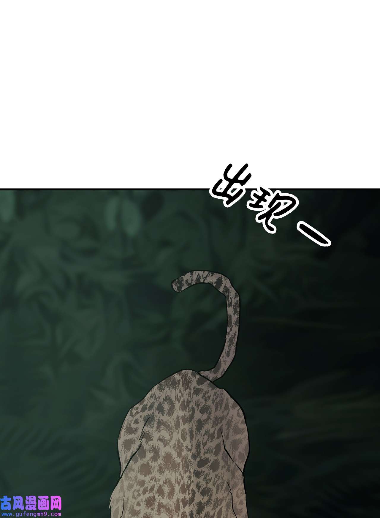 图腾领域35 猫咪