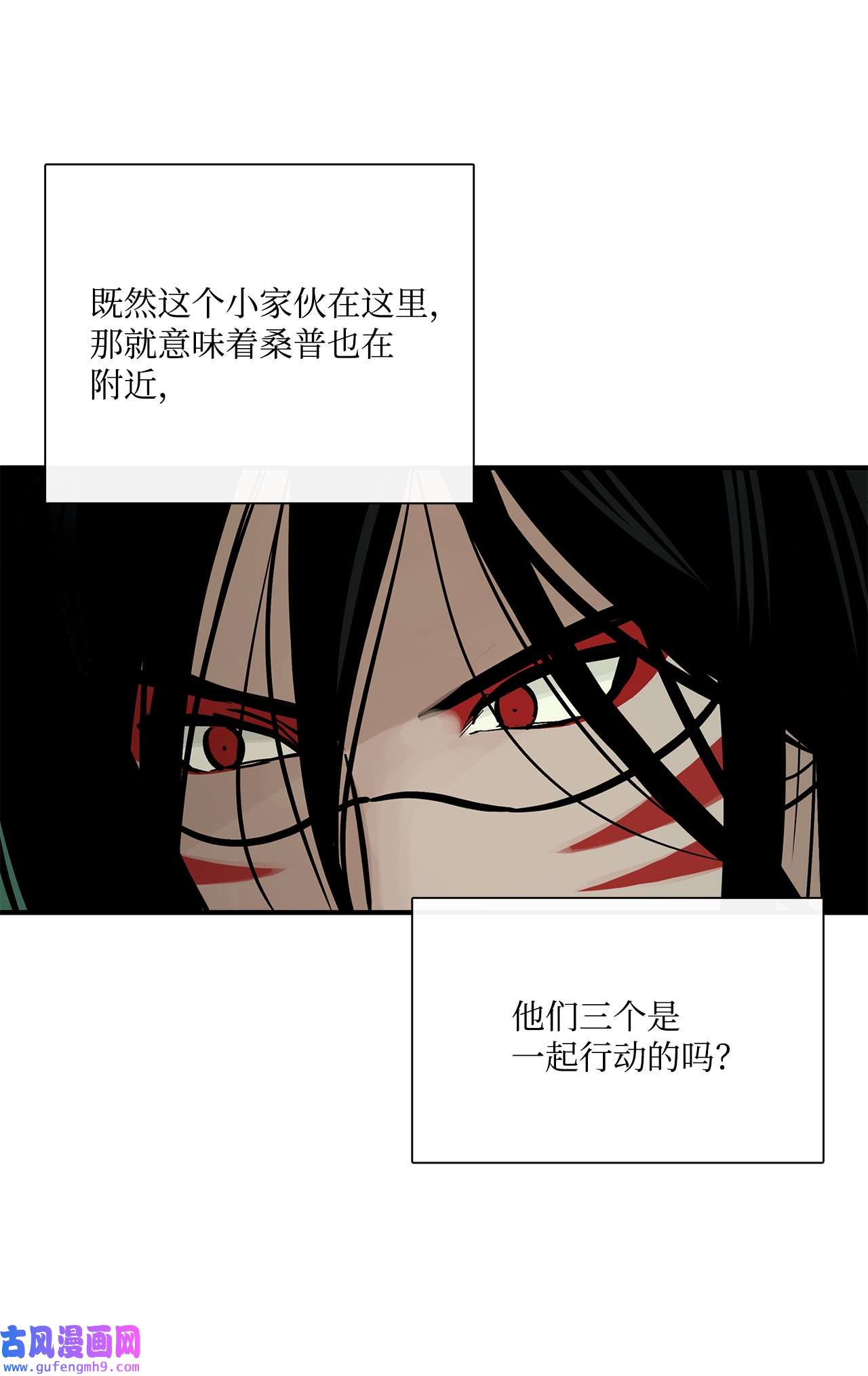 图腾领域35 猫咪