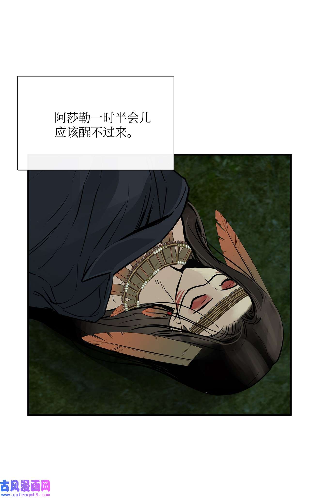 图腾领域35 猫咪