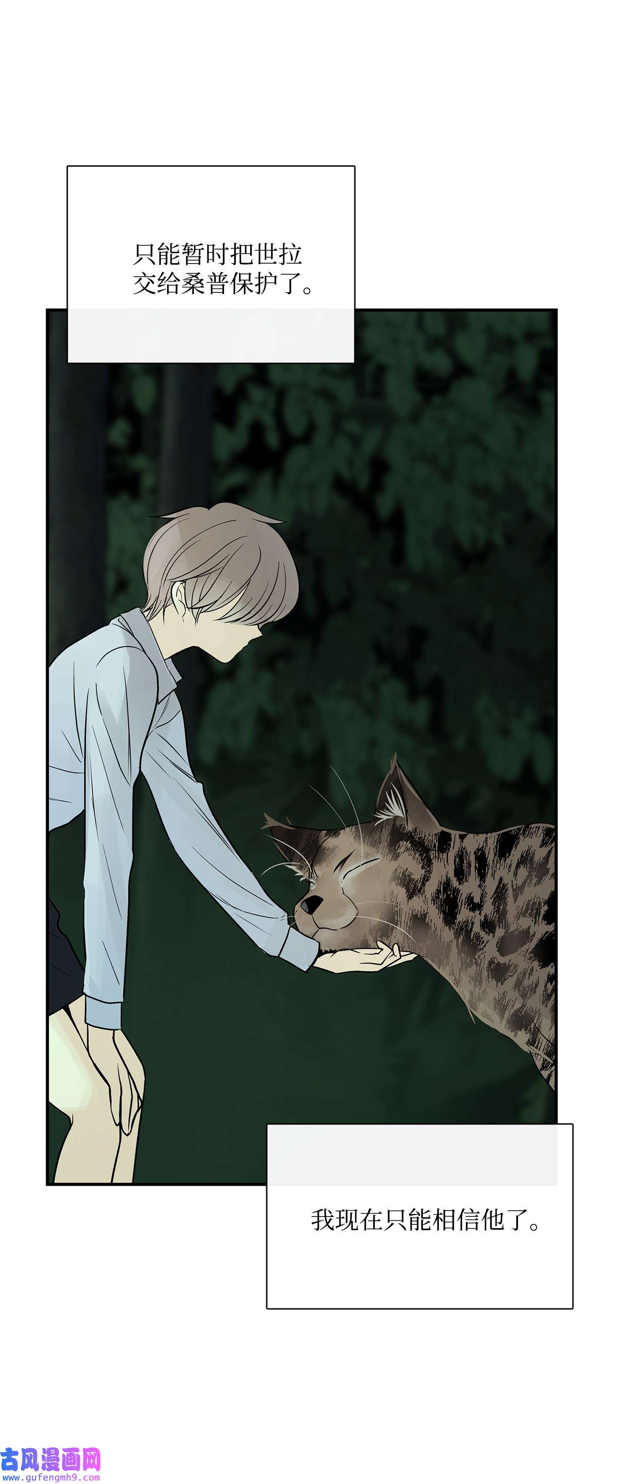 图腾领域35 猫咪