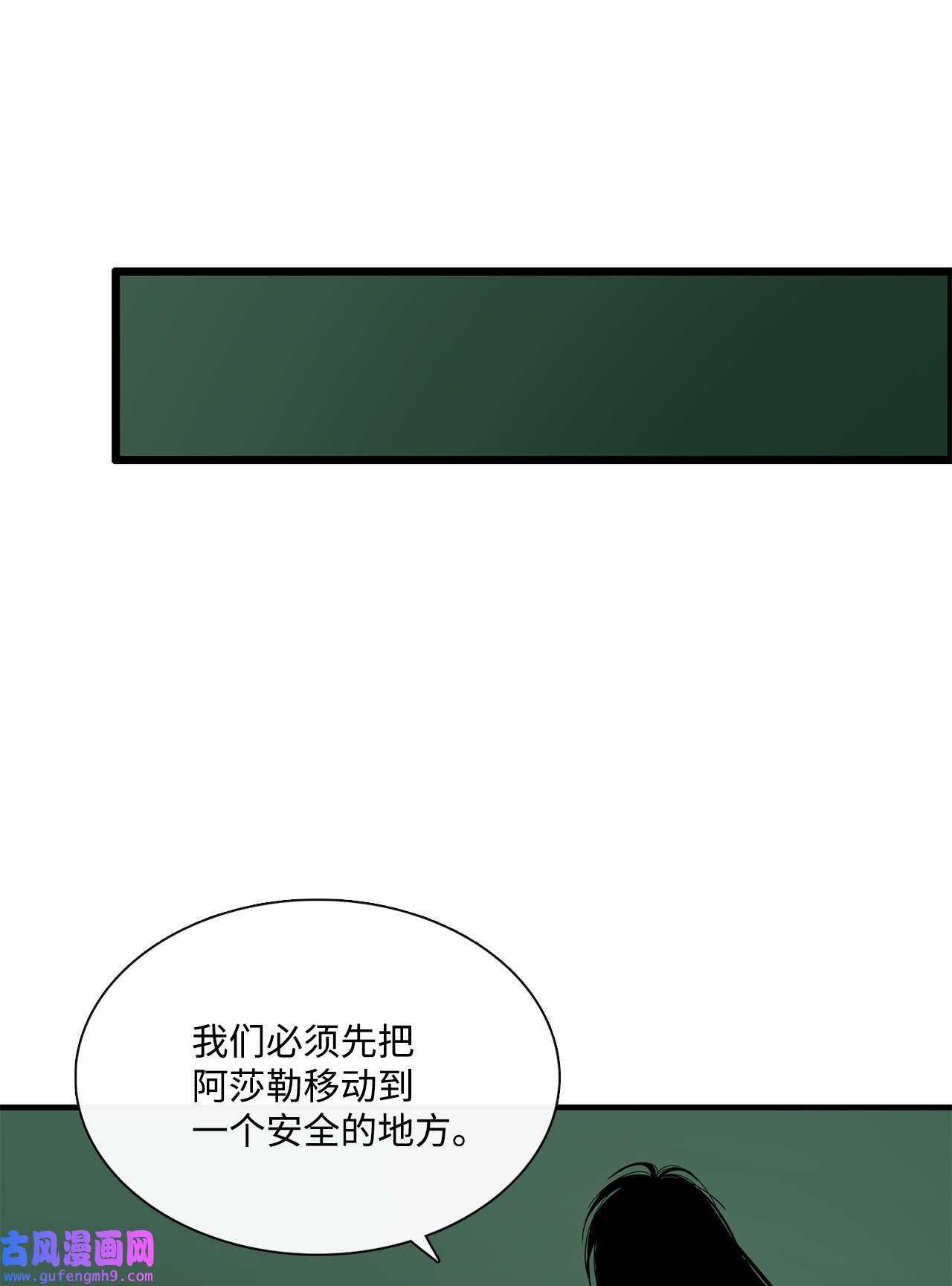 图腾领域35 猫咪