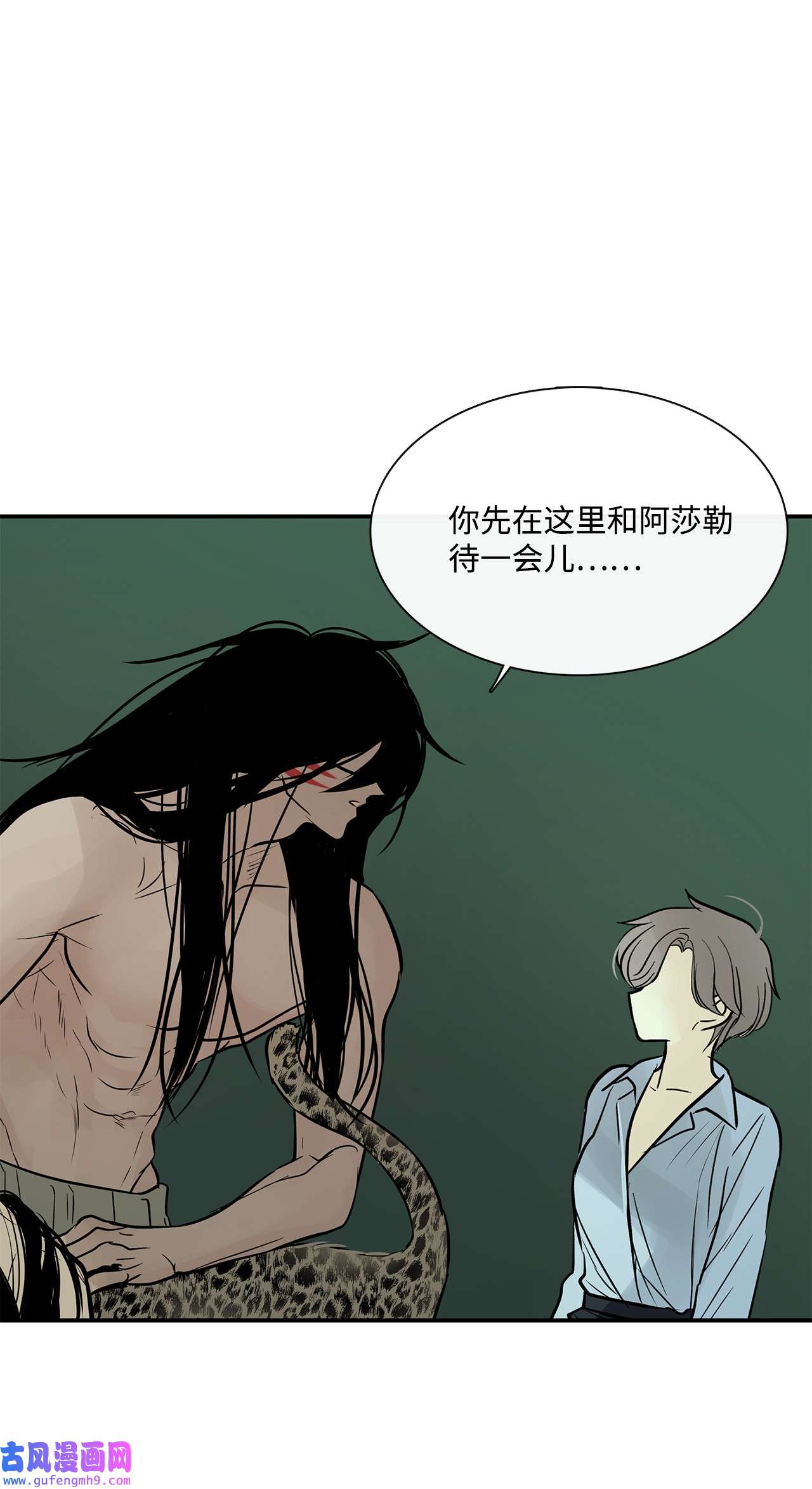 图腾领域35 猫咪