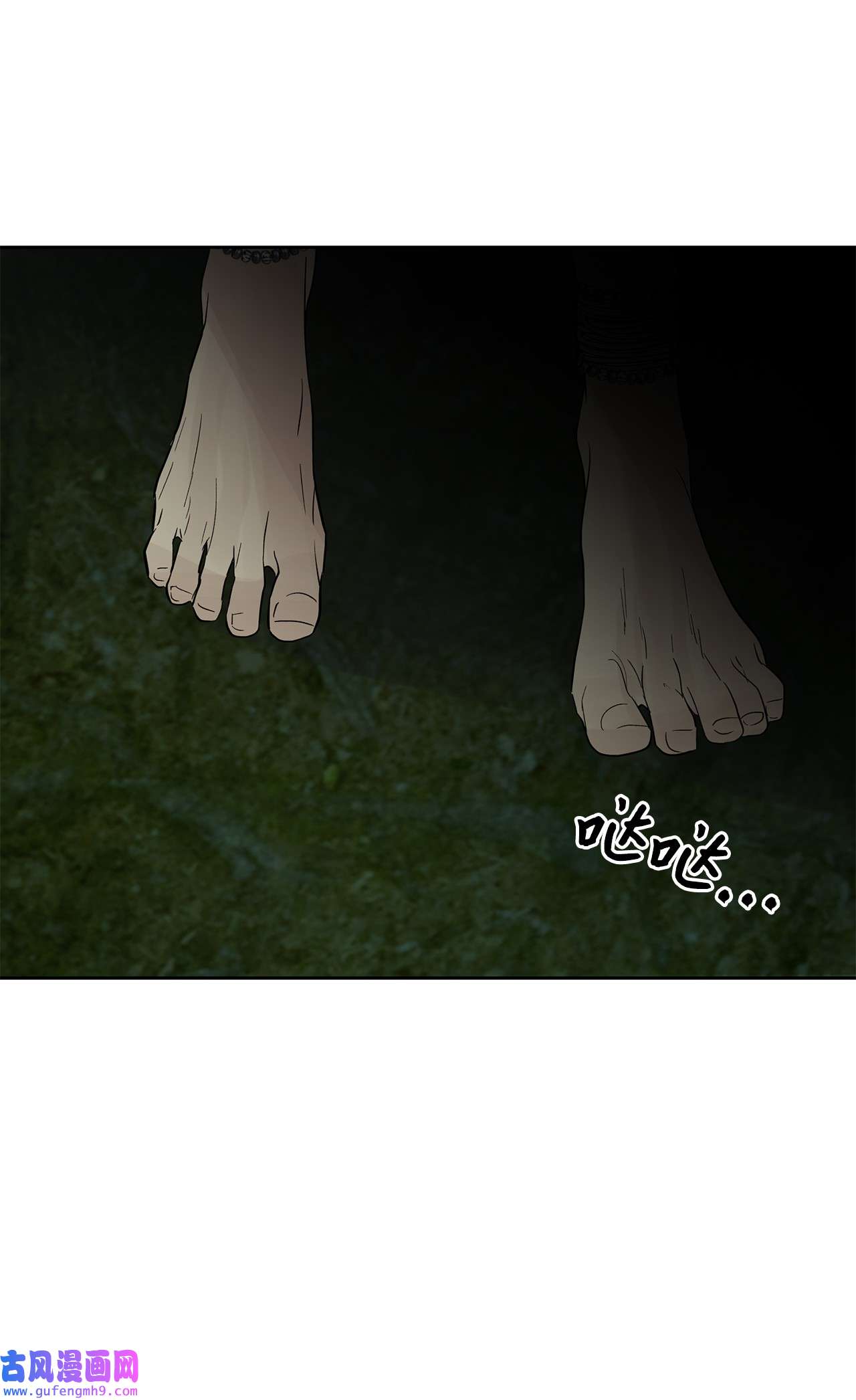 图腾领域35 猫咪