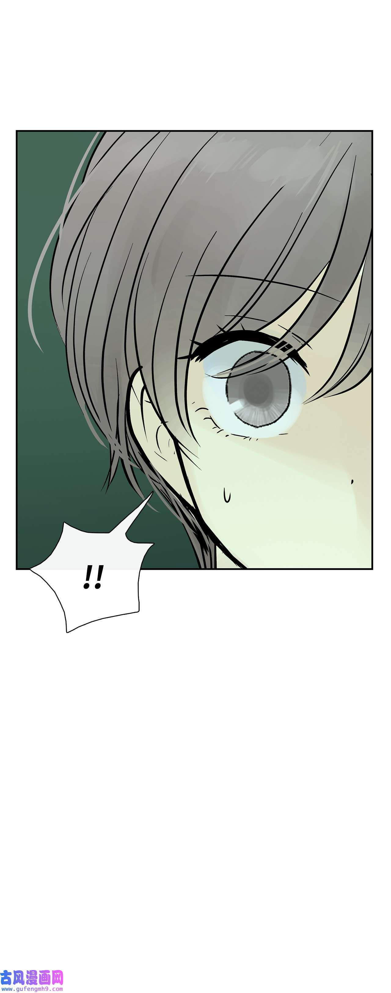 图腾领域35 猫咪