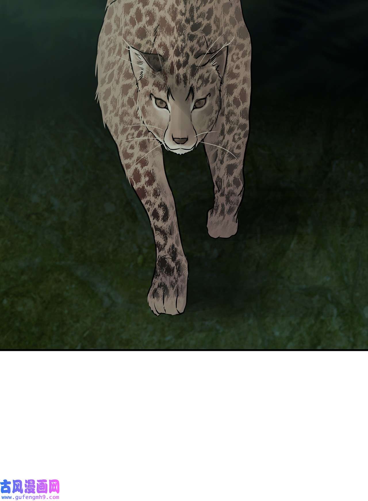 图腾领域35 猫咪