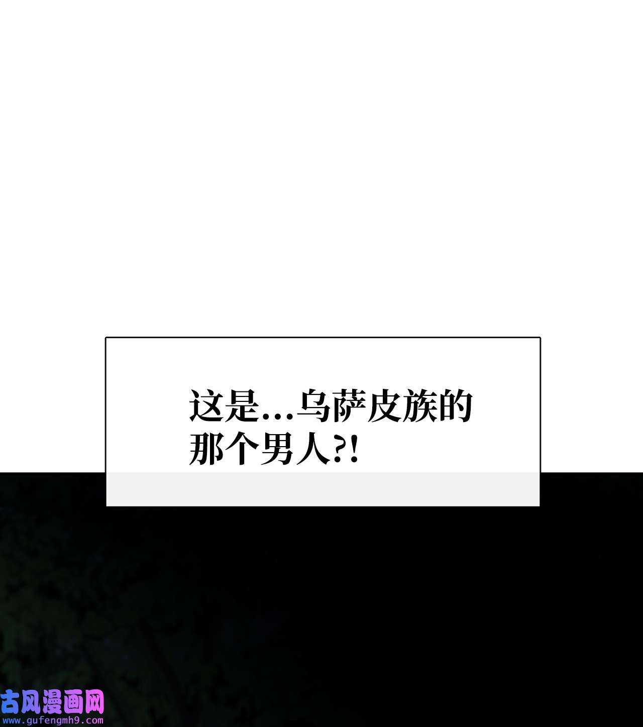 图腾领域35 猫咪