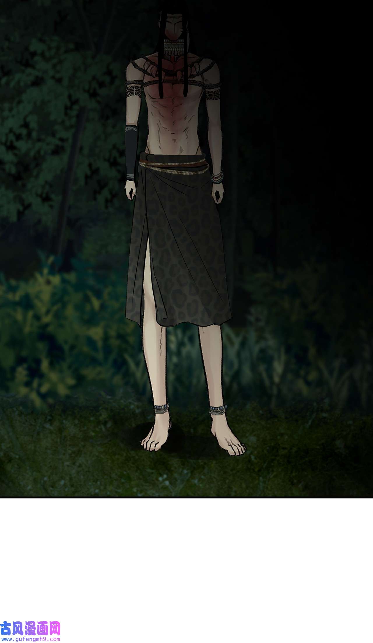 图腾领域35 猫咪