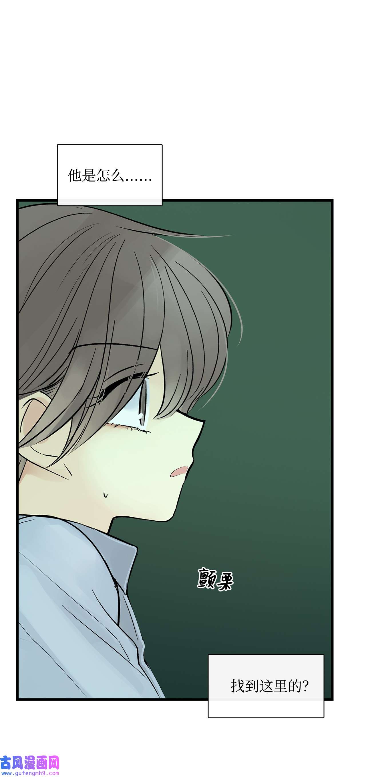 图腾领域35 猫咪