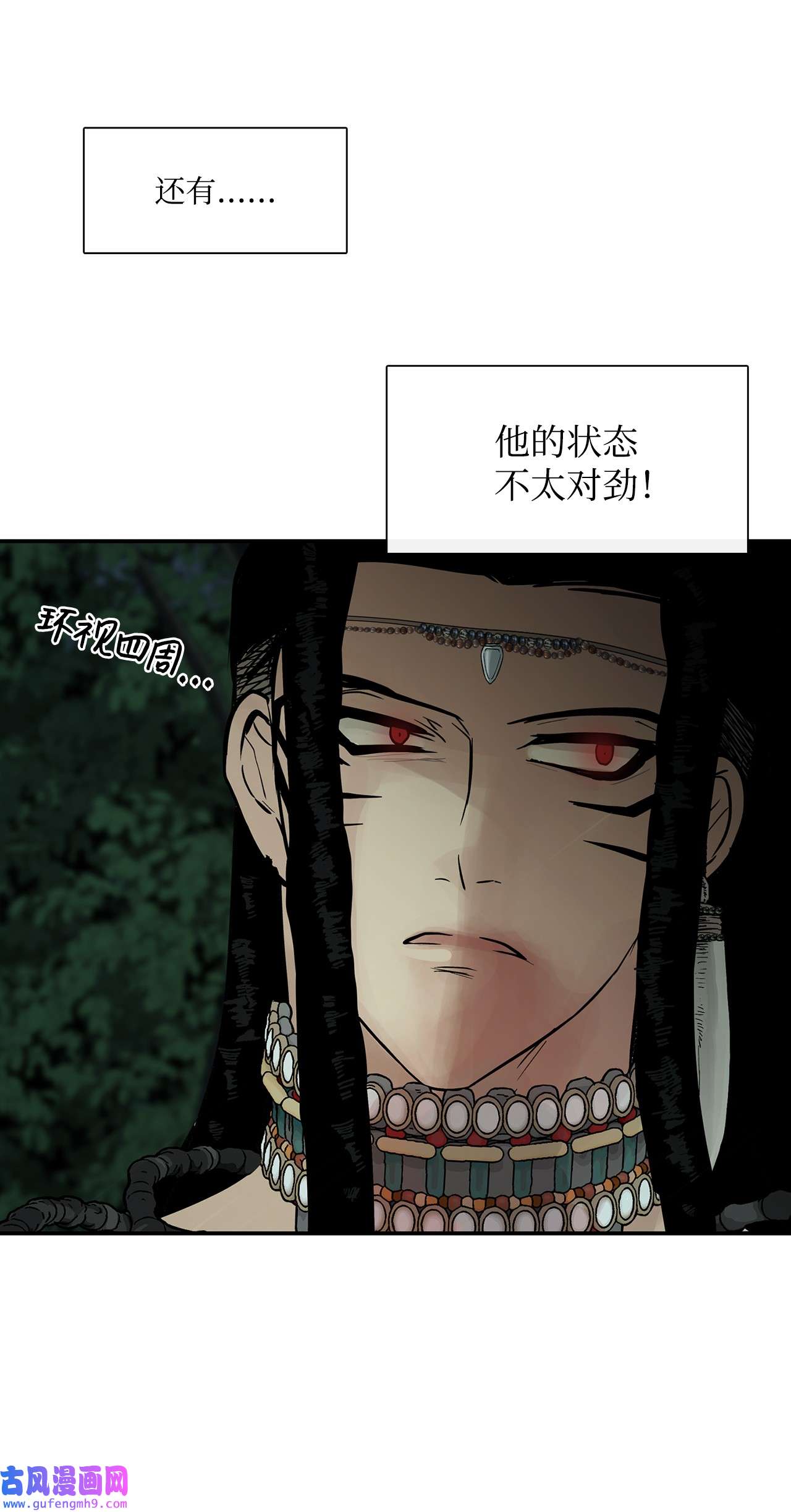 图腾领域35 猫咪