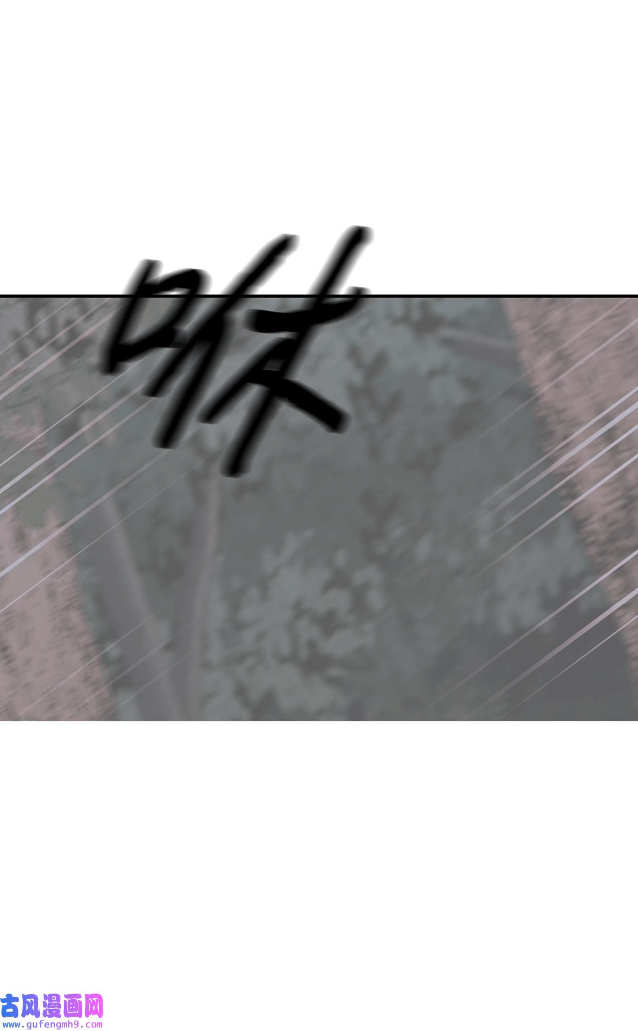 图腾领域35 猫咪