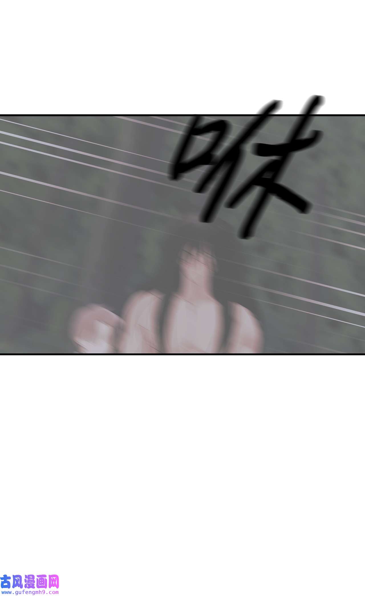 图腾领域35 猫咪