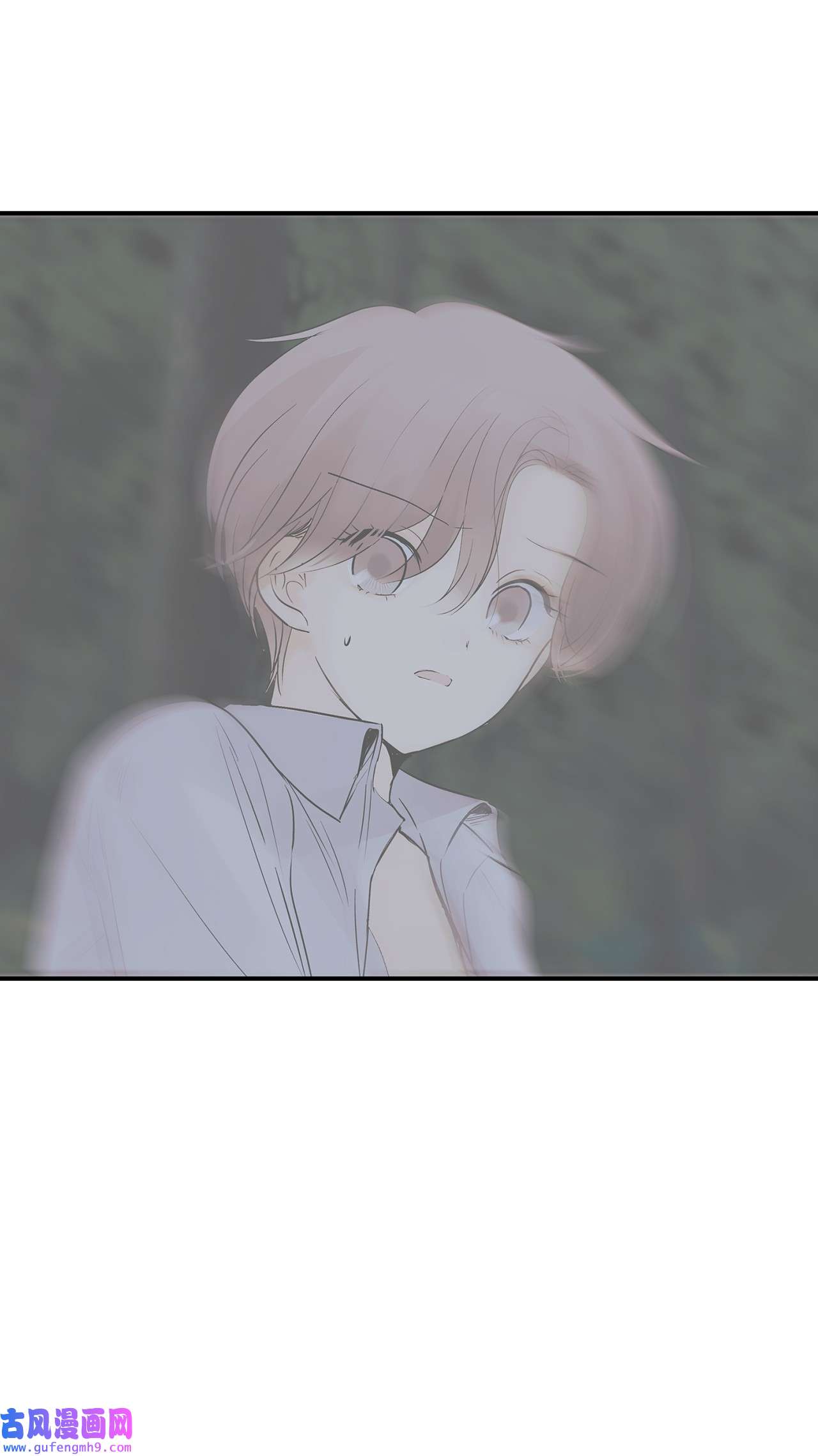 图腾领域35 猫咪