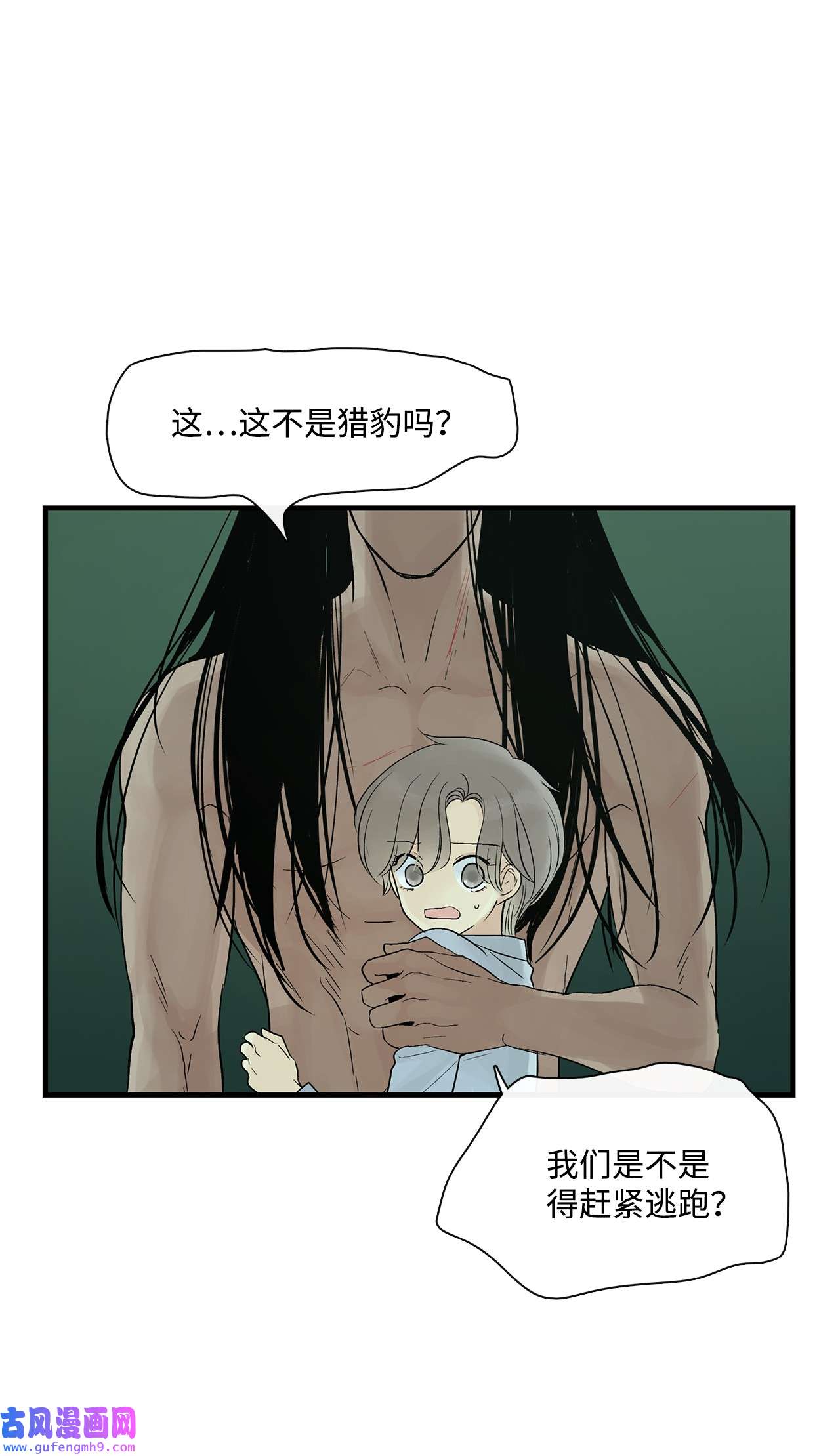 图腾领域35 猫咪