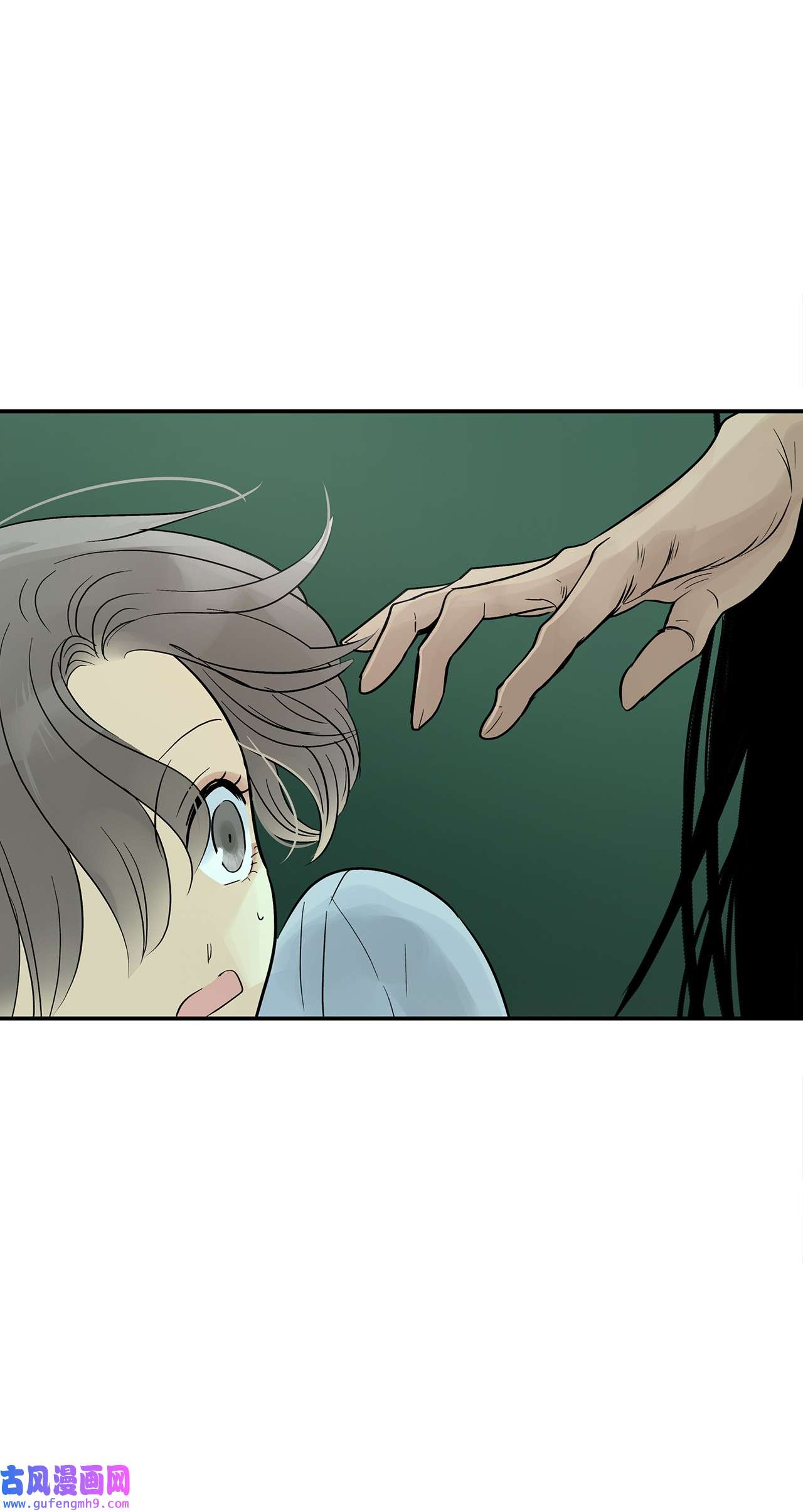 图腾领域35 猫咪