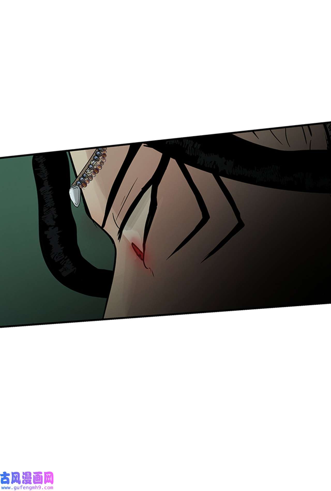 图腾领域35 猫咪