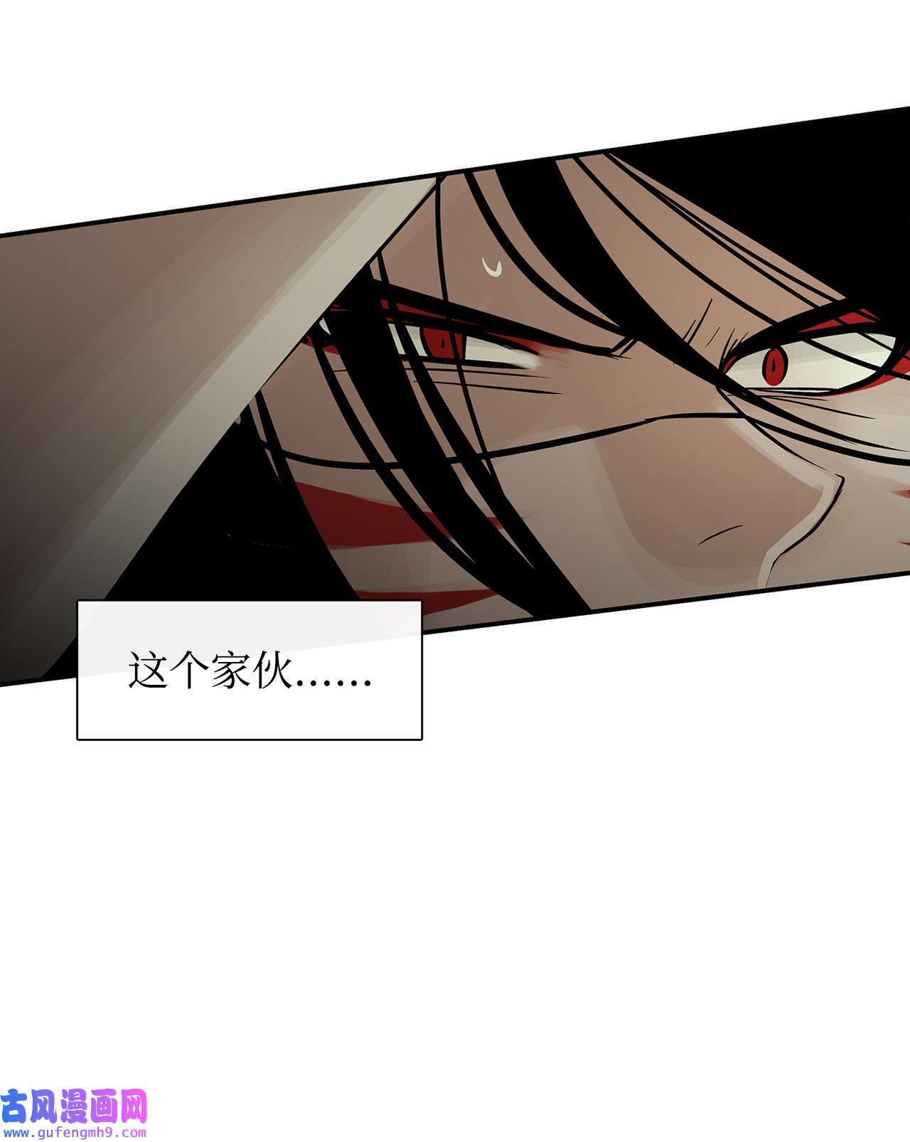 图腾领域35 猫咪