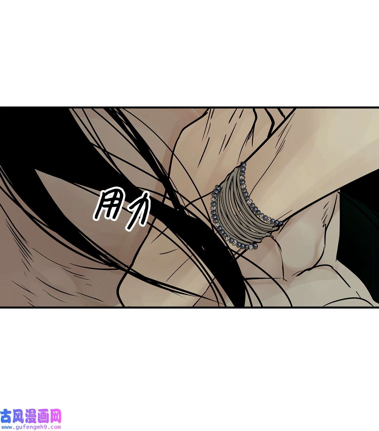 图腾领域35 猫咪