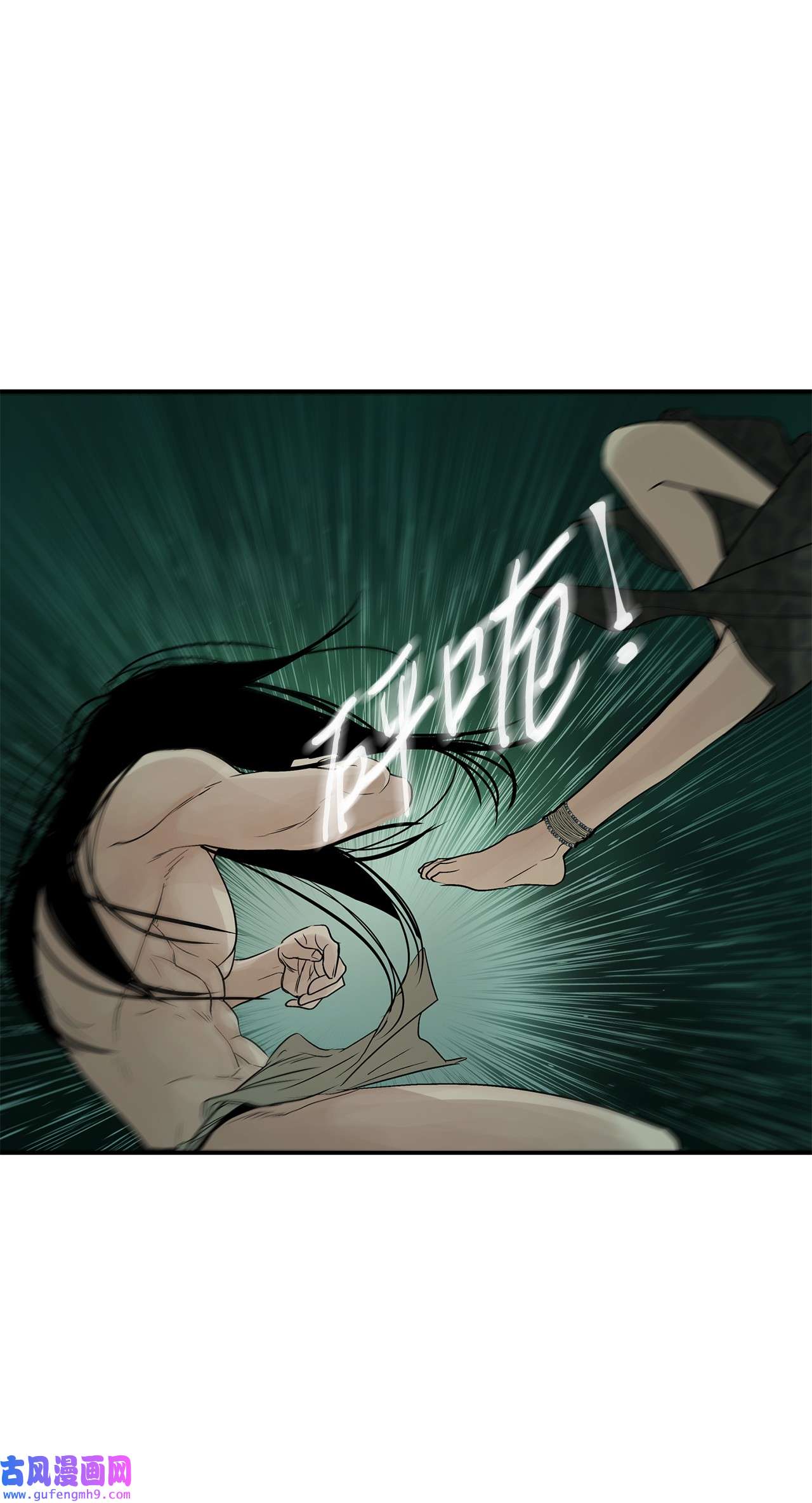 图腾领域35 猫咪