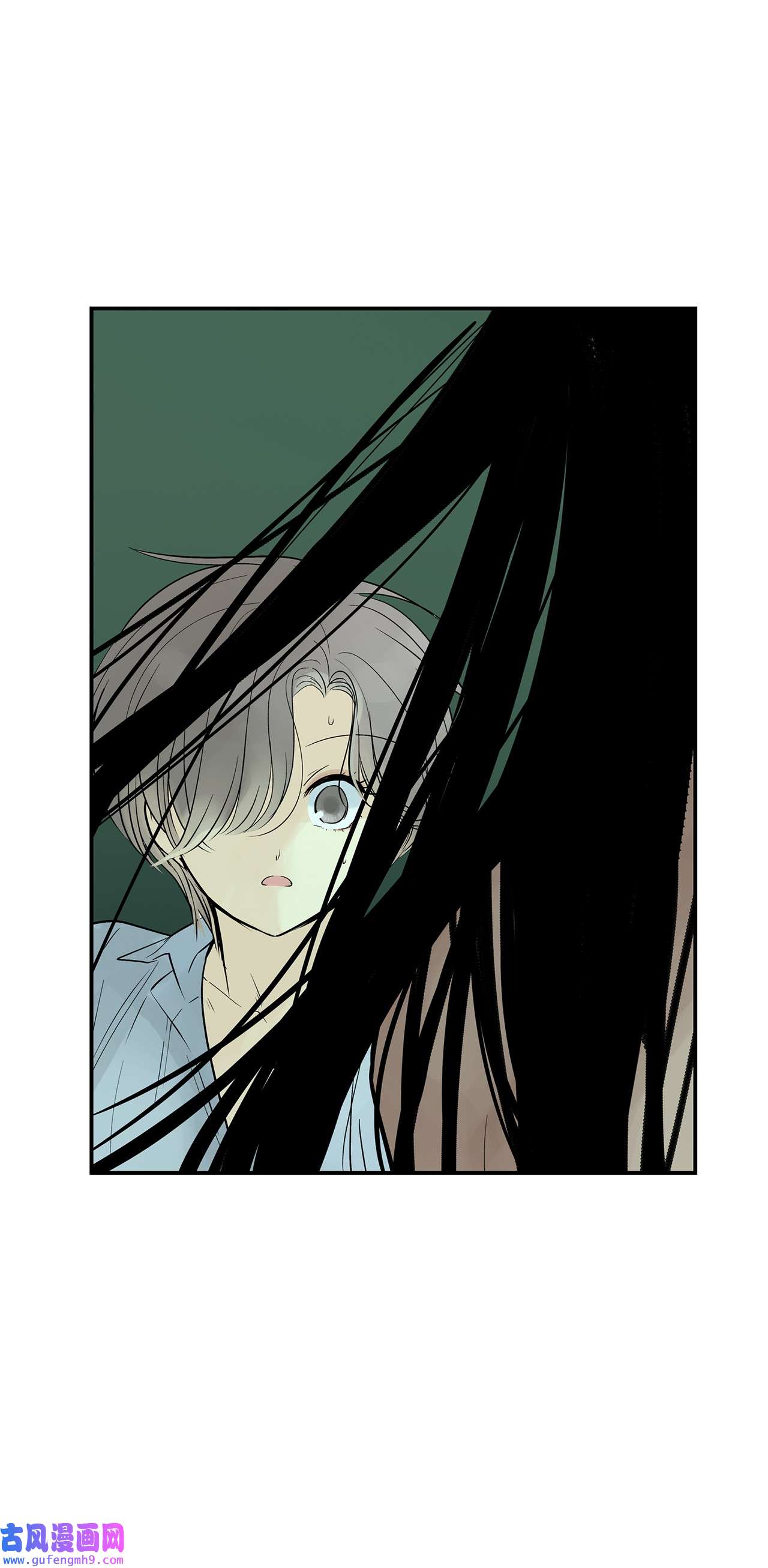 图腾领域35 猫咪