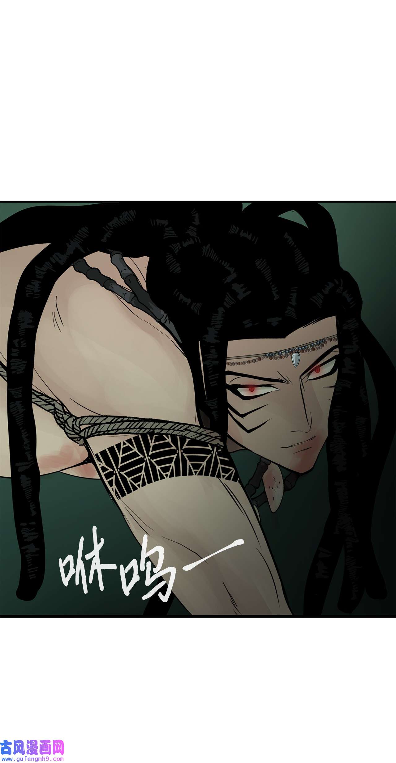 图腾领域35 猫咪