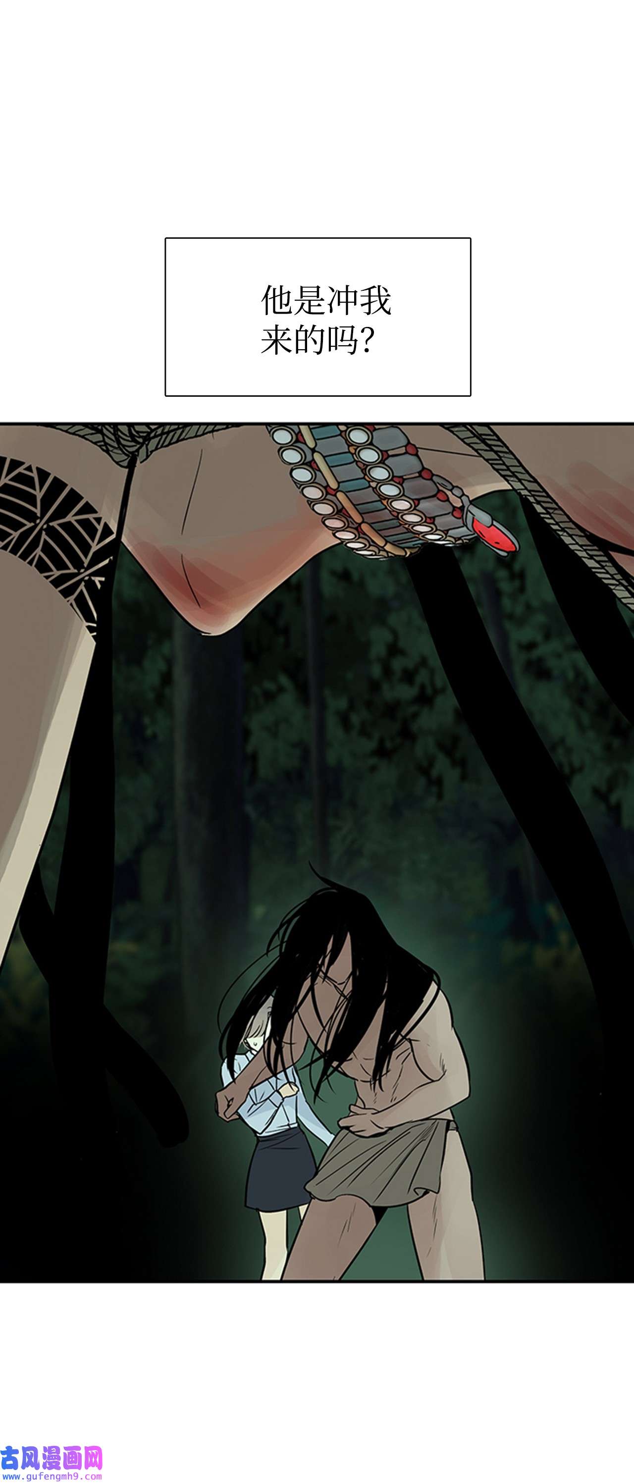 图腾领域35 猫咪