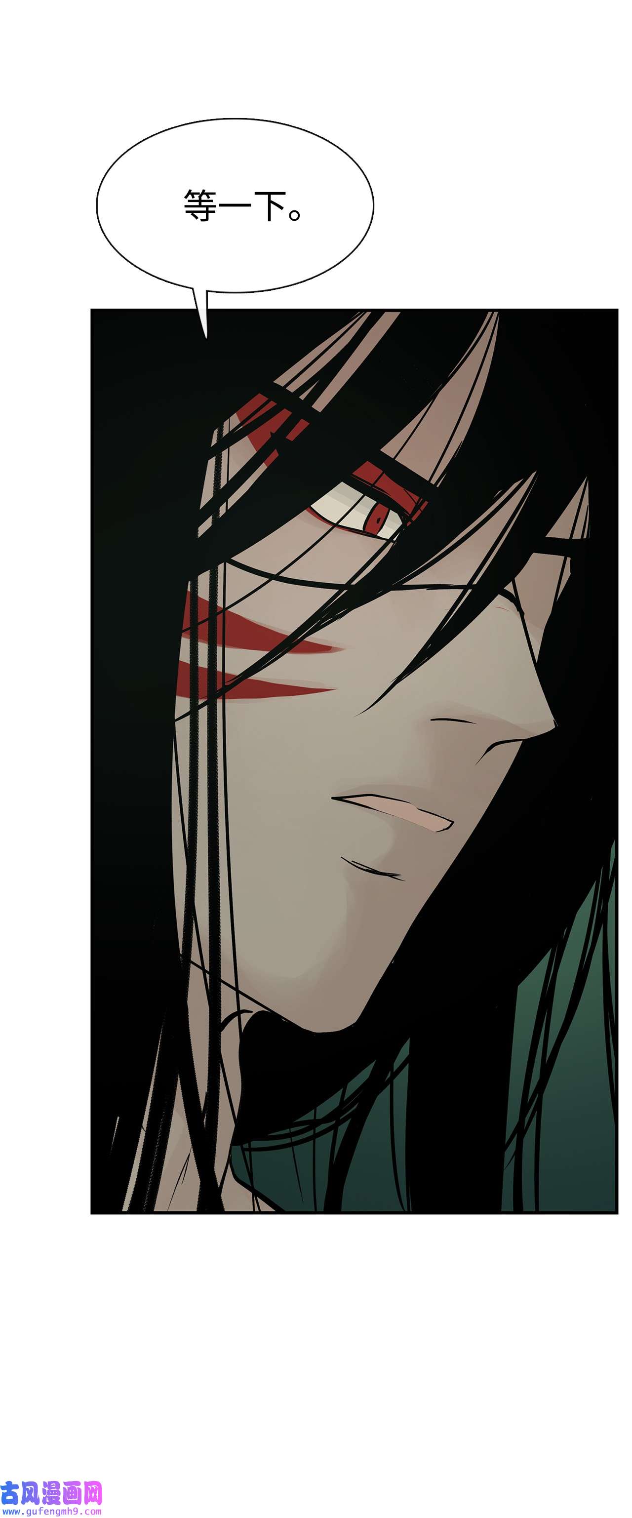 图腾领域35 猫咪