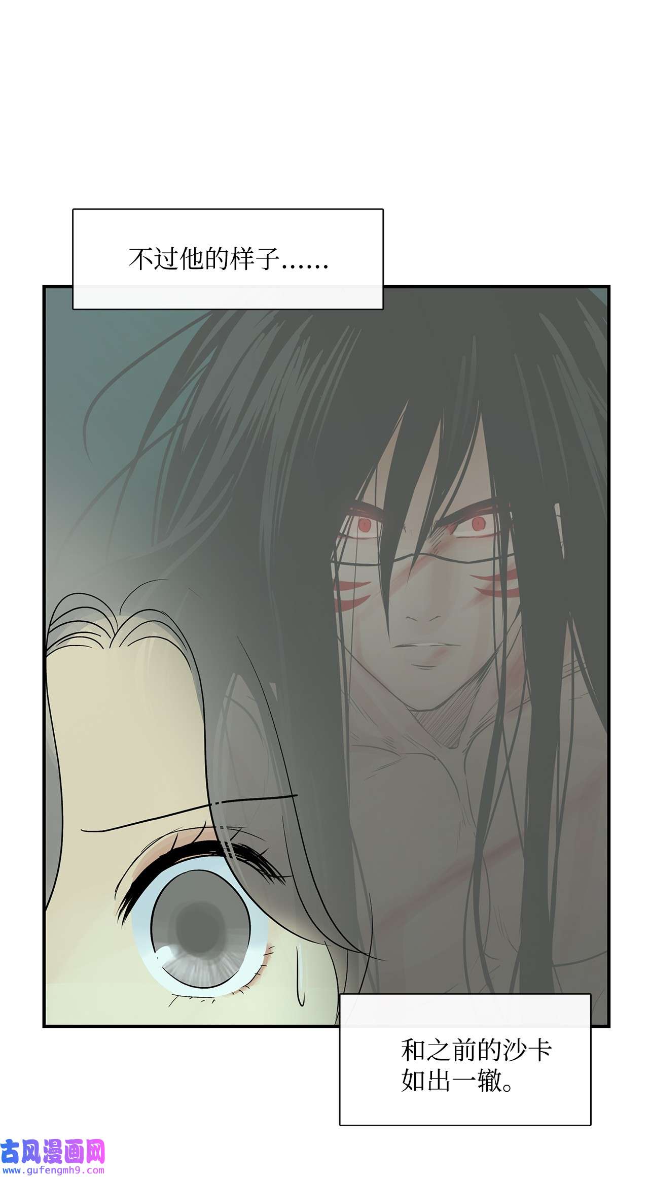 图腾领域35 猫咪