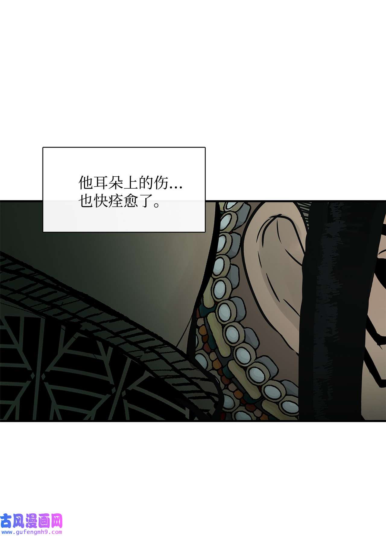 图腾领域35 猫咪