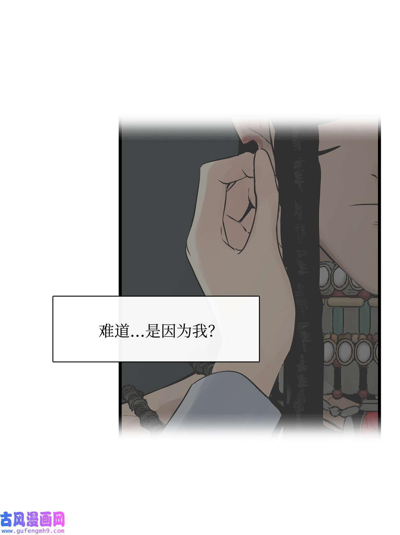 图腾领域35 猫咪