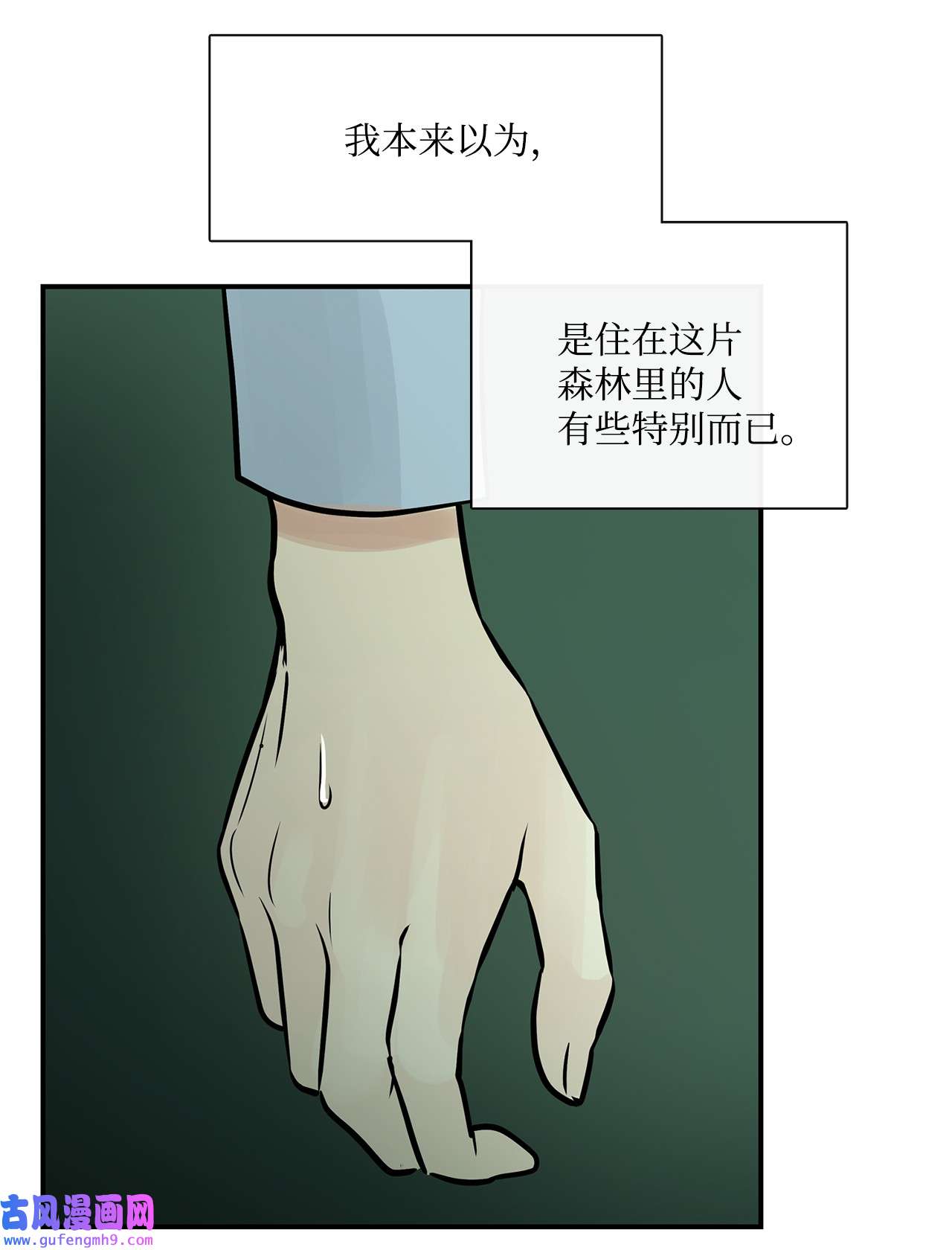 图腾领域35 猫咪