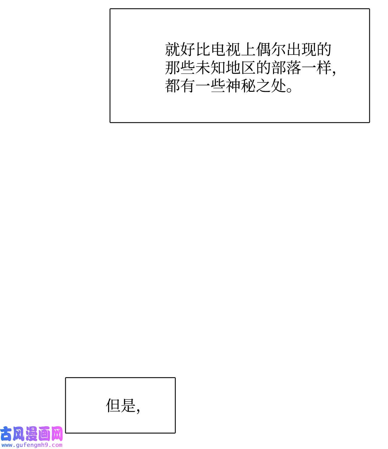 图腾领域35 猫咪