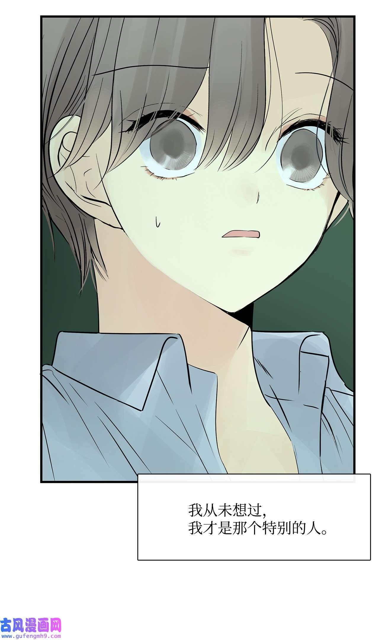 图腾领域35 猫咪