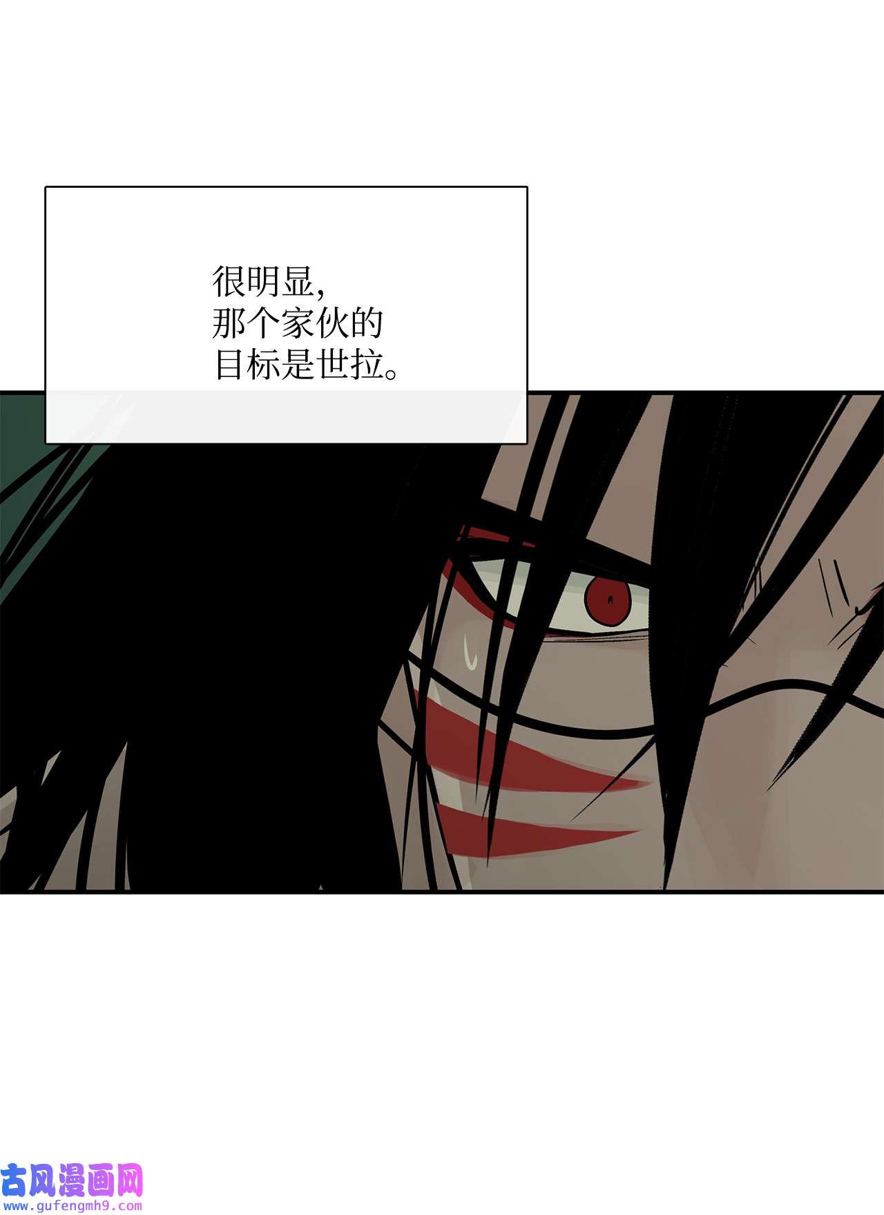 图腾领域35 猫咪