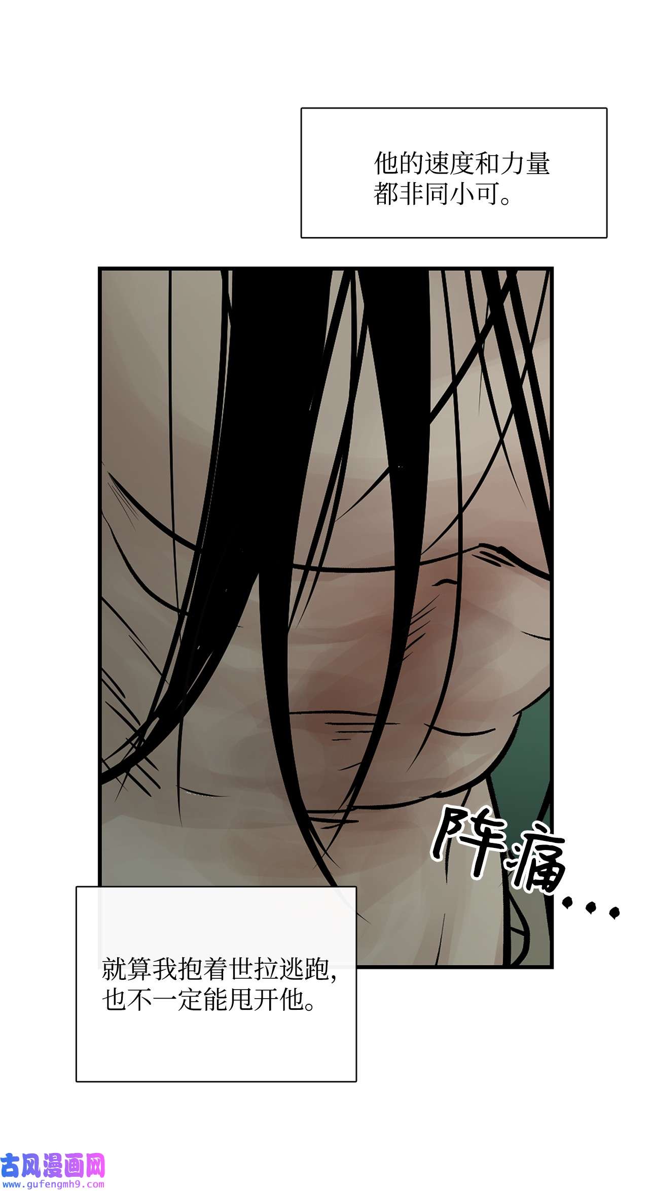 图腾领域35 猫咪