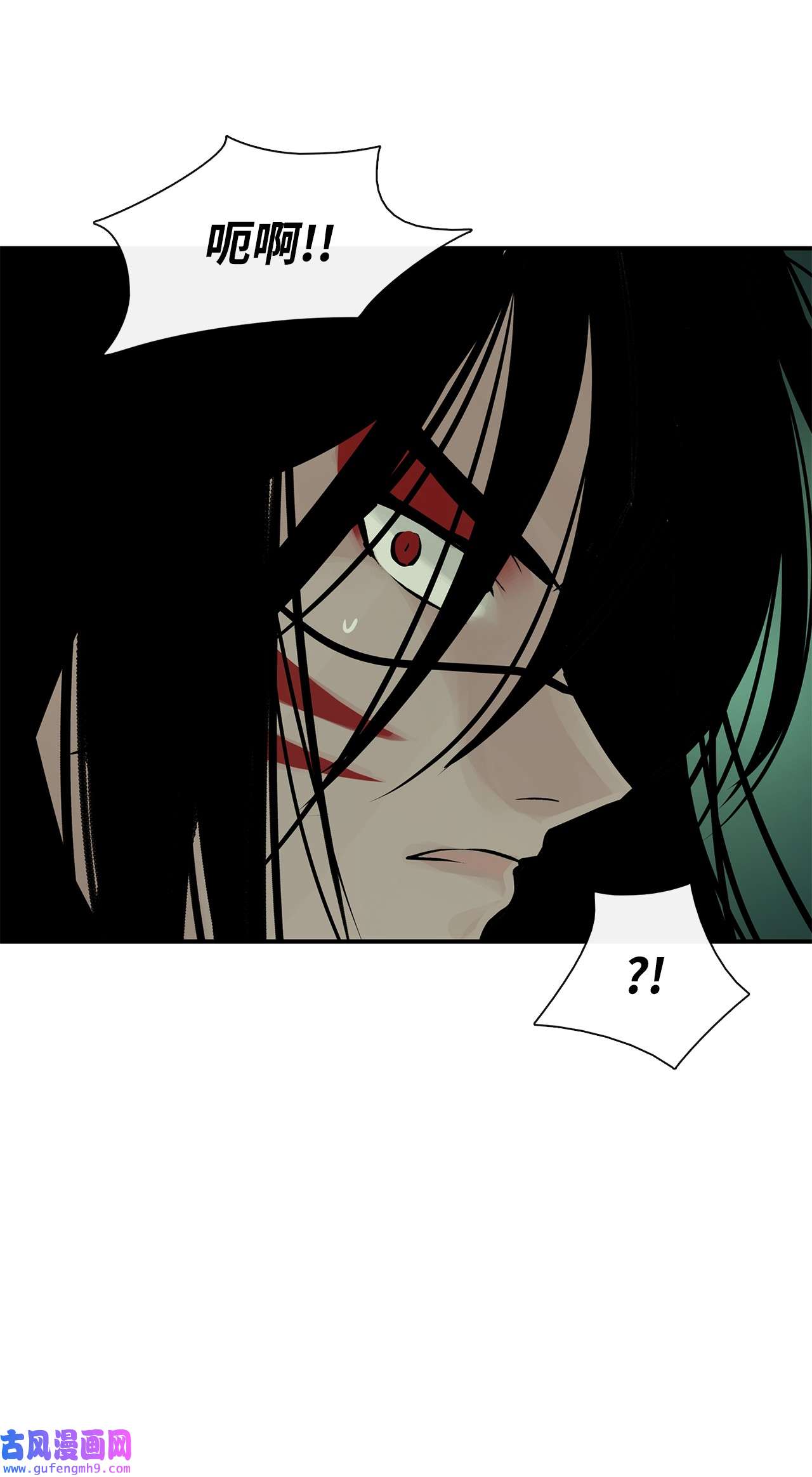 图腾领域35 猫咪