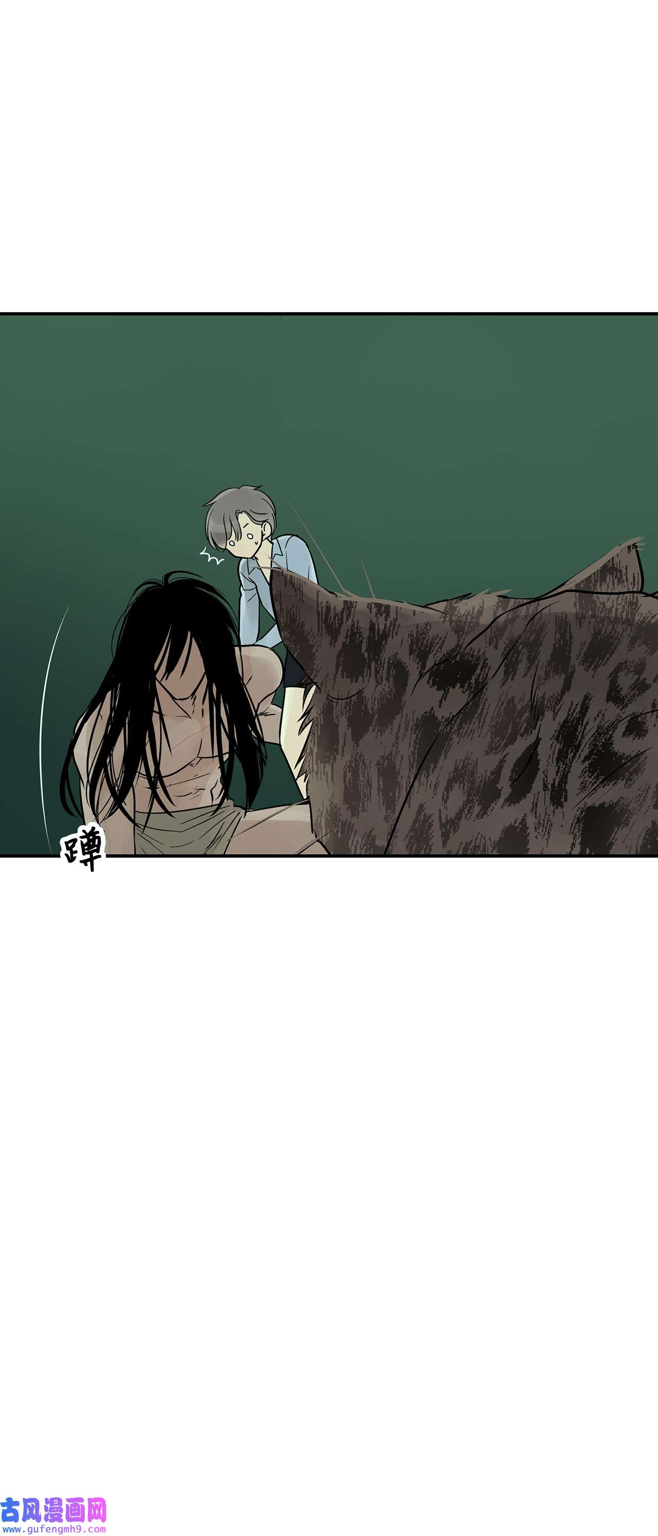 图腾领域35 猫咪